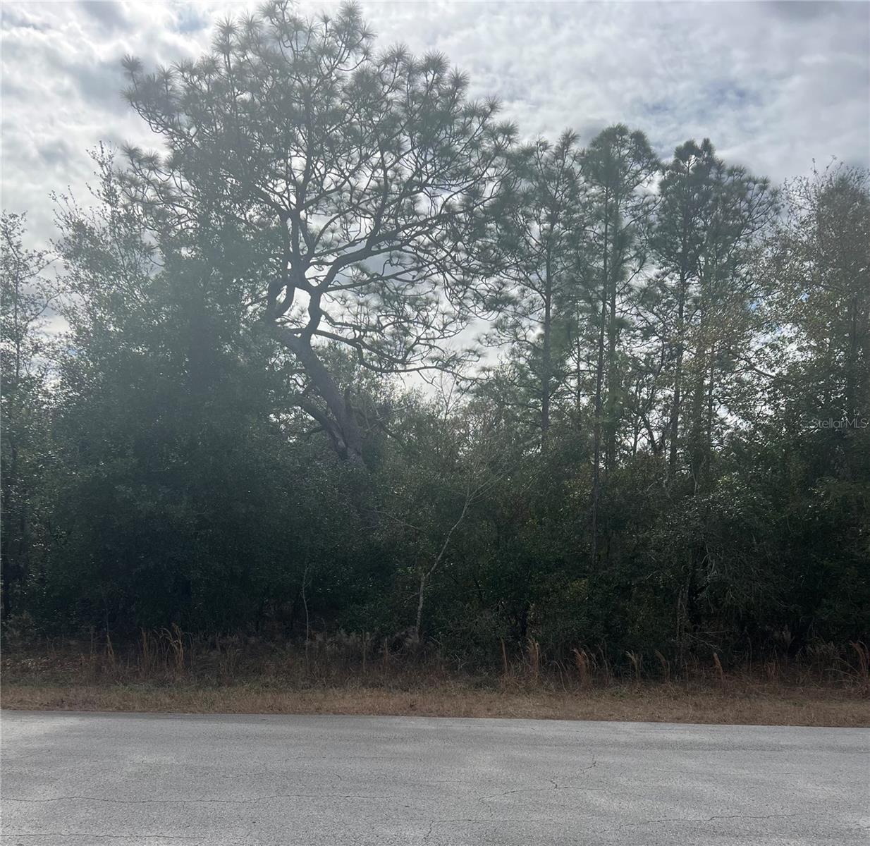 RAINBOW LAKES ESTATES - Land