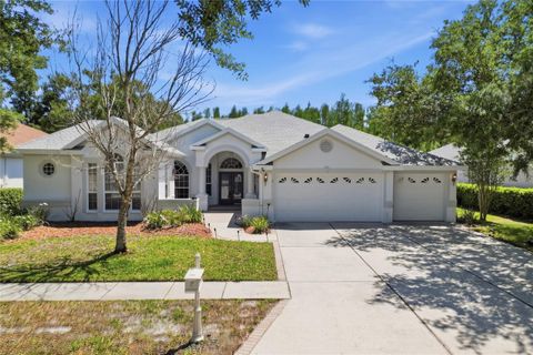Photo of 10206 Shadow Branch Drive, Tampa, FL 33647 (MLS # TB8499414)