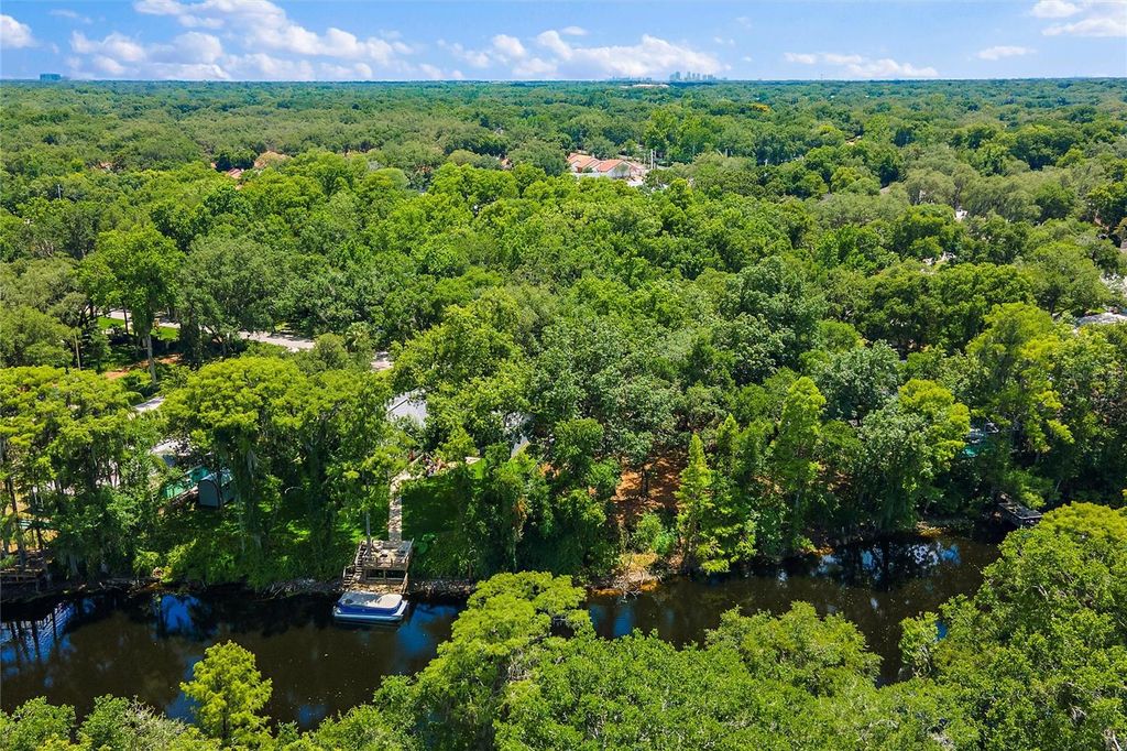 Photo of 11731 Gail Drive, Temple Terrace, FL 33617 (MLS # TB8440114)