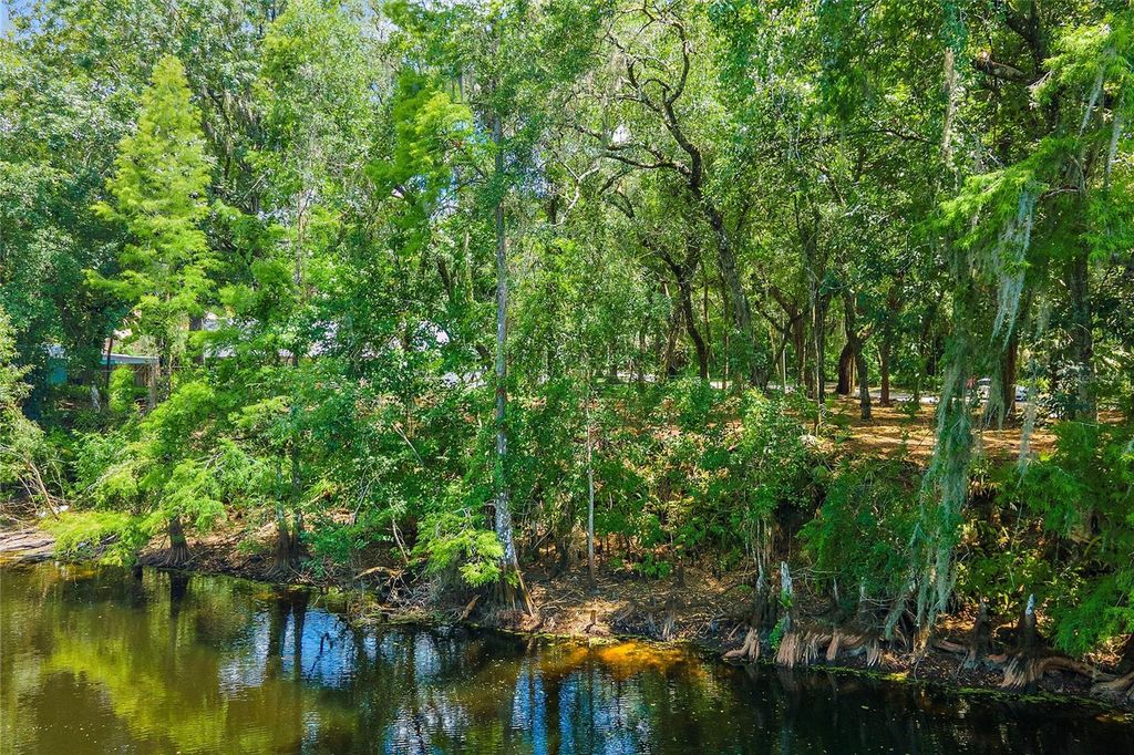Photo of 11731 Gail Drive, Temple Terrace, FL 33617 (MLS # TB8440114)