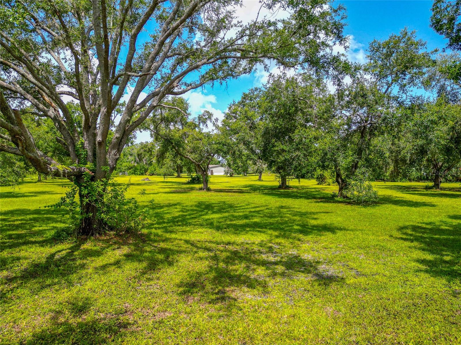 WATERBURY TRACTS CONTINUED - Residential