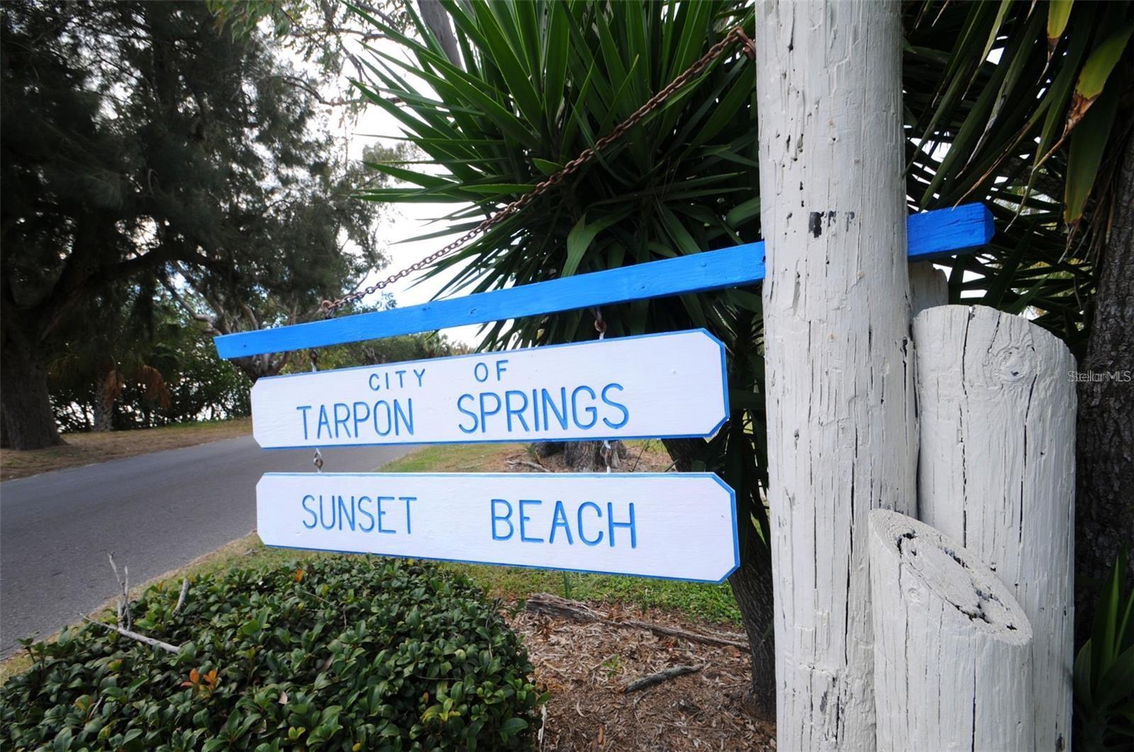 TARPON SHORES MOBILE HOME VILLAGE UNREC - Residential