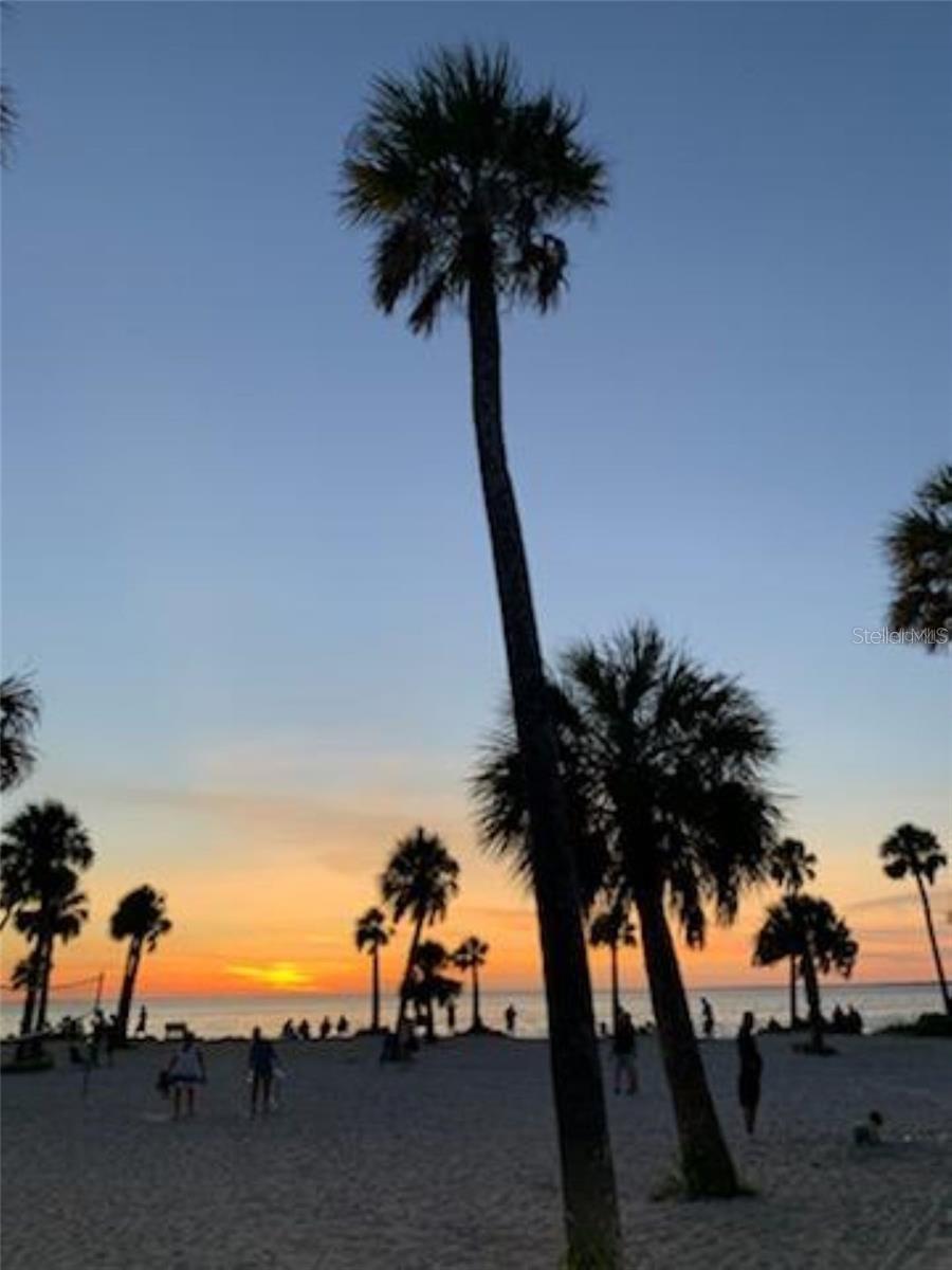 TARPON SHORES MOBILE HOME VILLAGE UNREC - Residential