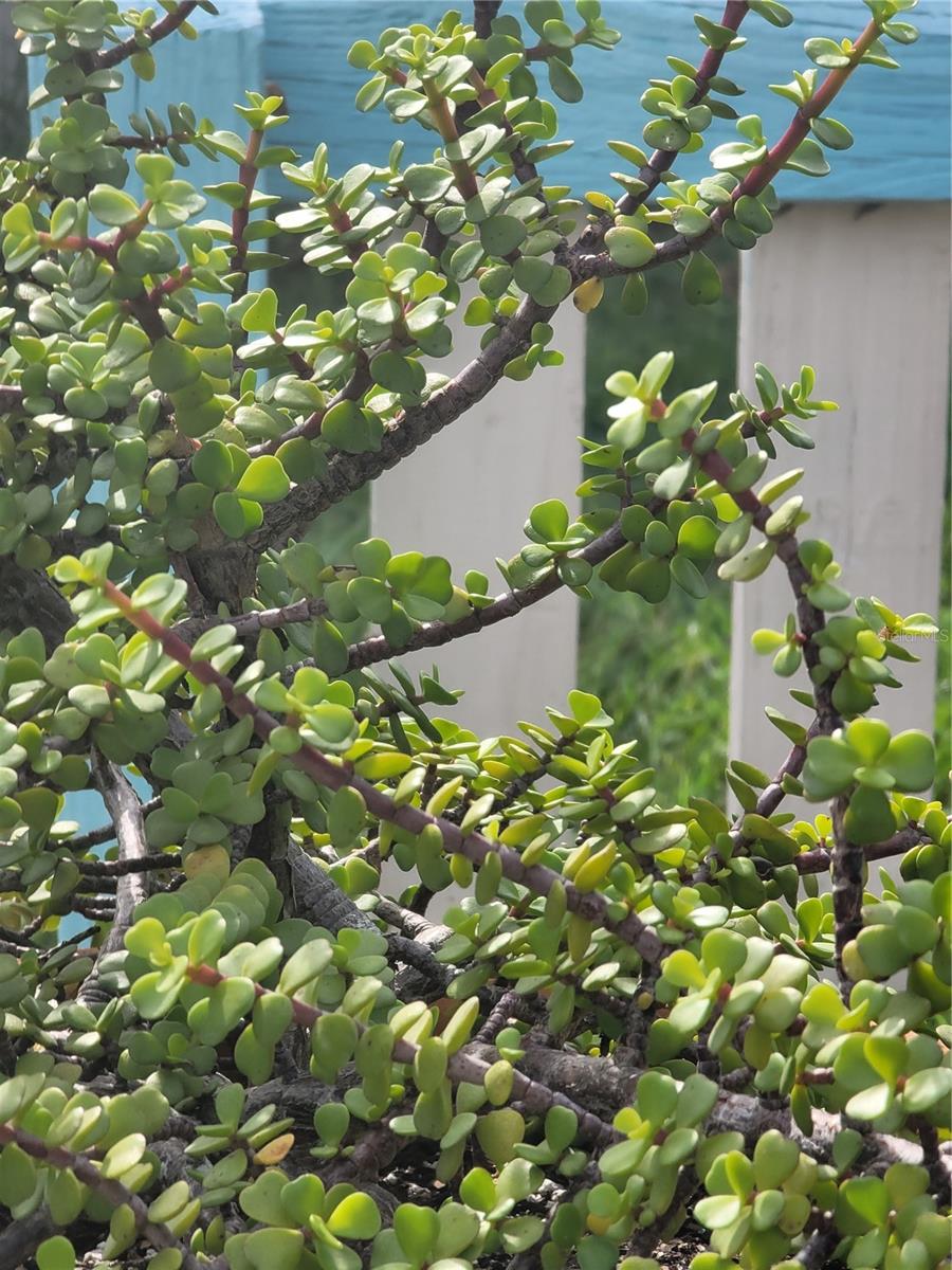 WEST PORT SUB - Residential