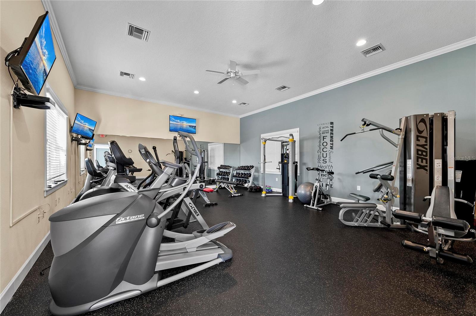 MIRABELLA AT VILLAGE GREEN - Residential