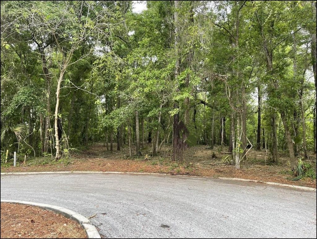Photo of SE 43rd Street, Ocala, FL 34480 (MLS # OM695128)