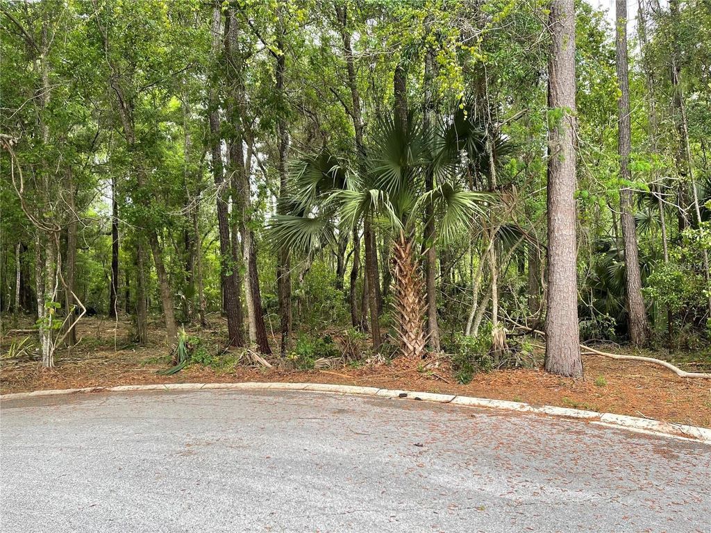 Photo of SE 43rd Street, Ocala, FL 34480 (MLS # OM695128)