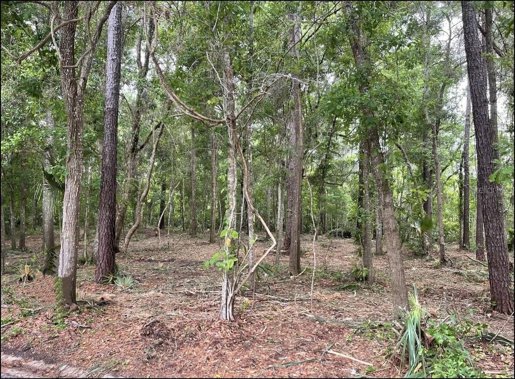 Photo of SE 43rd Street, Ocala, FL 34480 (MLS # OM695128)