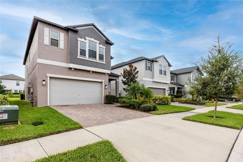 A home in LAND O LAKES