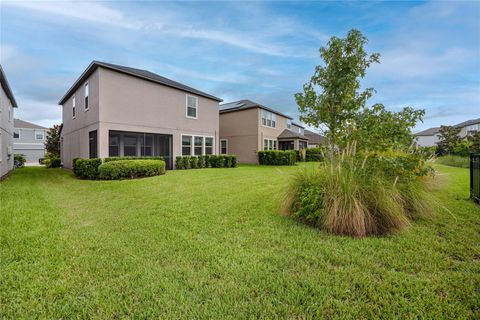 A home in LAND O LAKES