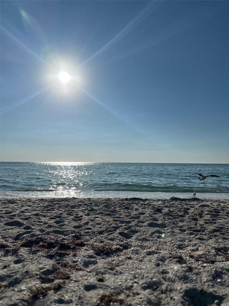 SOUTH VENICE - Residential