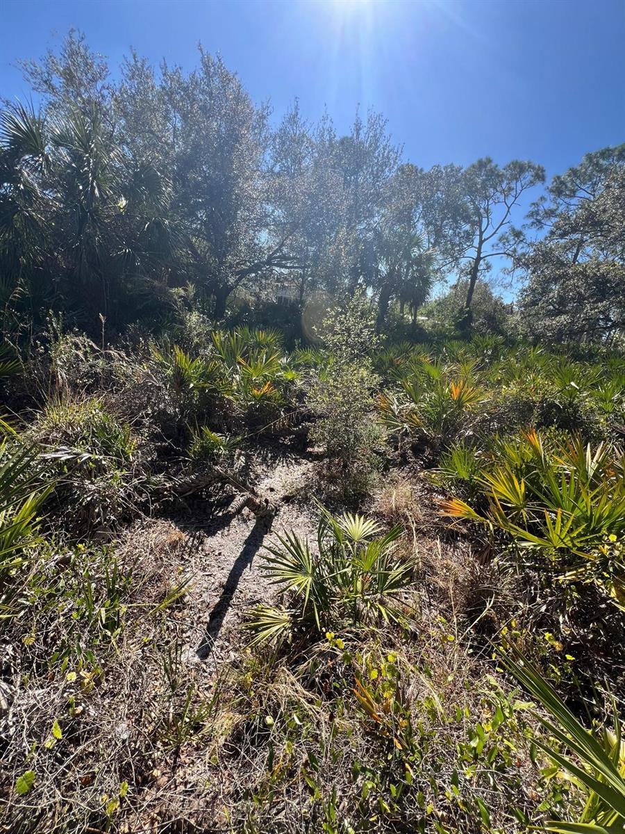 PORT CHARLOTTE SUB 36 - Land