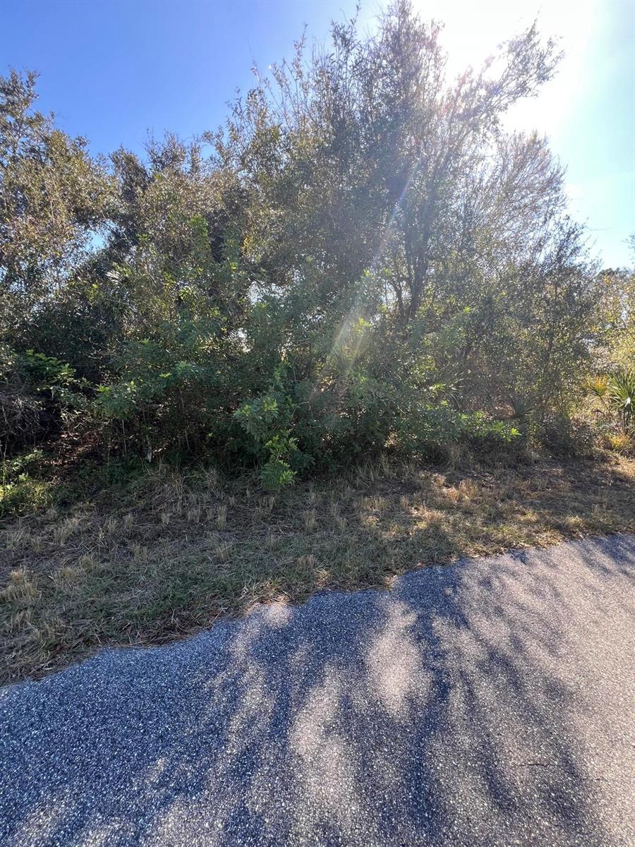 PORT CHARLOTTE SUB 36 - Land