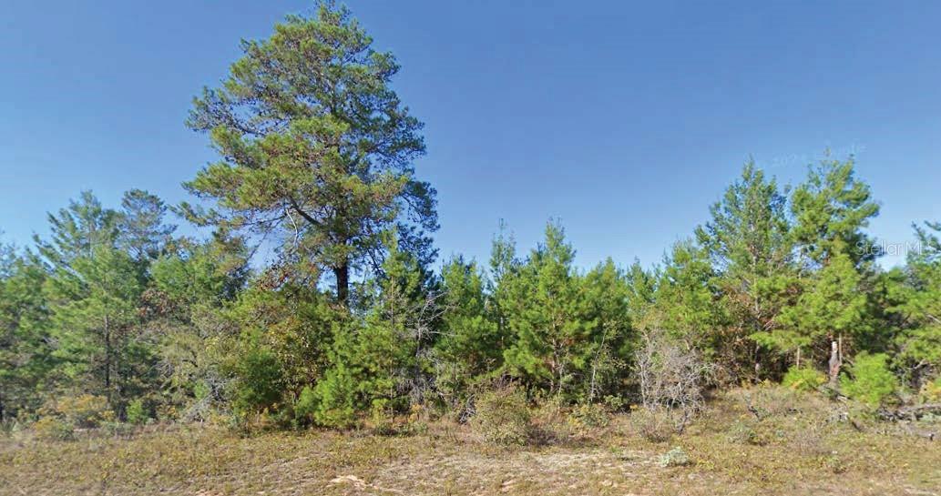 Located in the growing Sunny Hills community, this spacious lot provides a rare opportunity to build in a tranquil, wooded setting near the Boat Lake Swim Park and Sunny Hills Golf & Country Club. With paved road frontage and utilities available nearby, the lot offers both convenience and natural charm.All information is deemed reliable but should be independently verified.