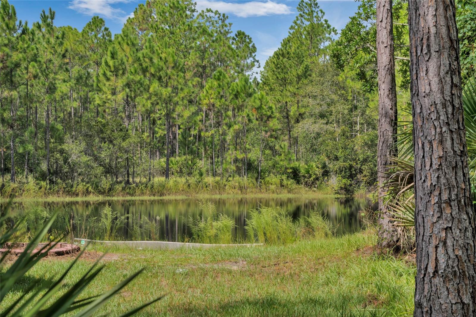 LAKE GEORGE PINES UNREC PH 01-03 - Residential