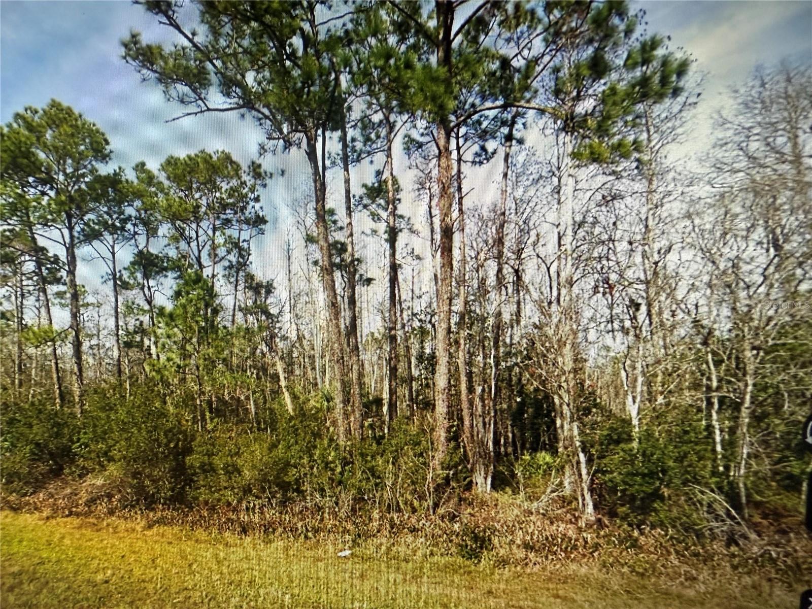 20617 E COLONIAL DRIVE