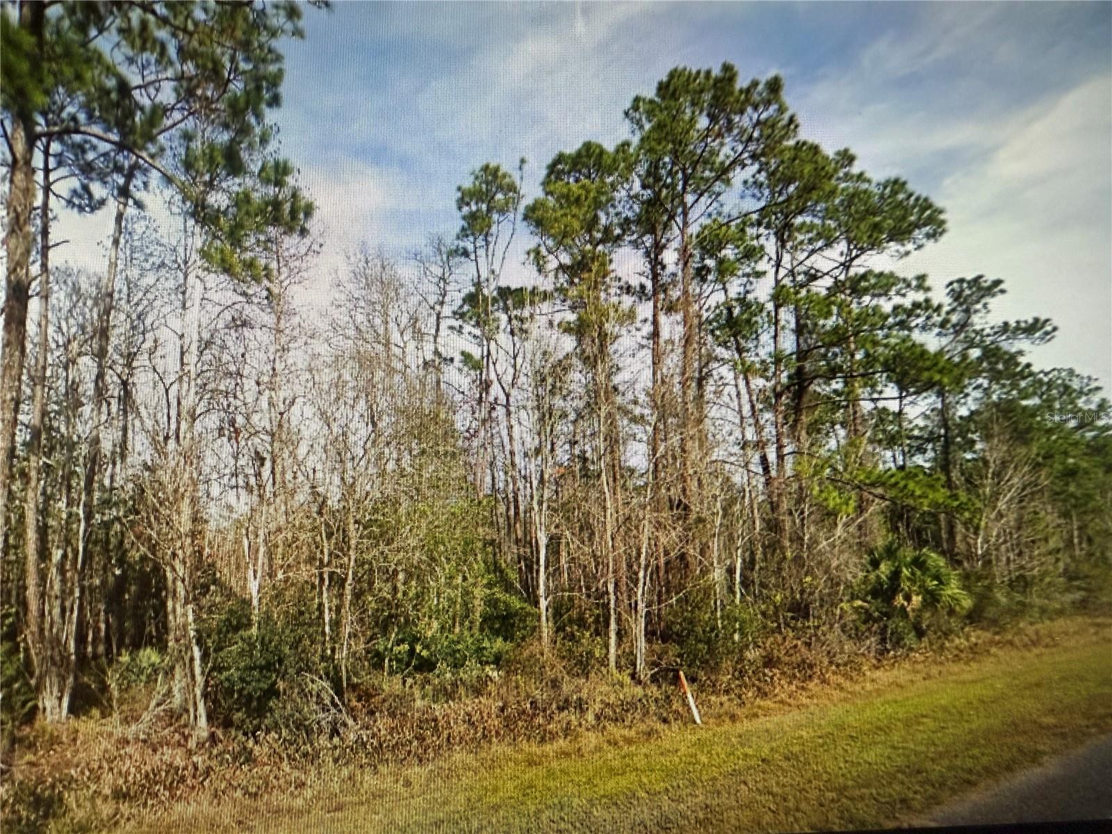 20617 E COLONIAL DRIVE