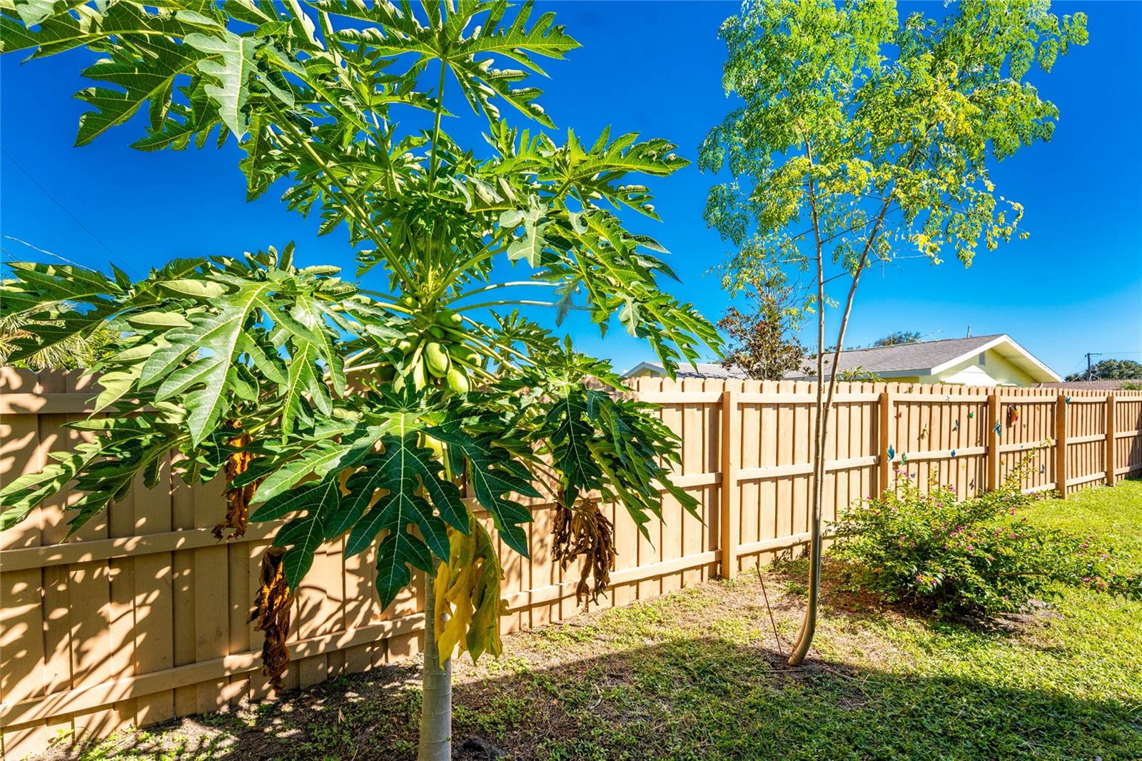 BAYVIEW GARDENS - Residential