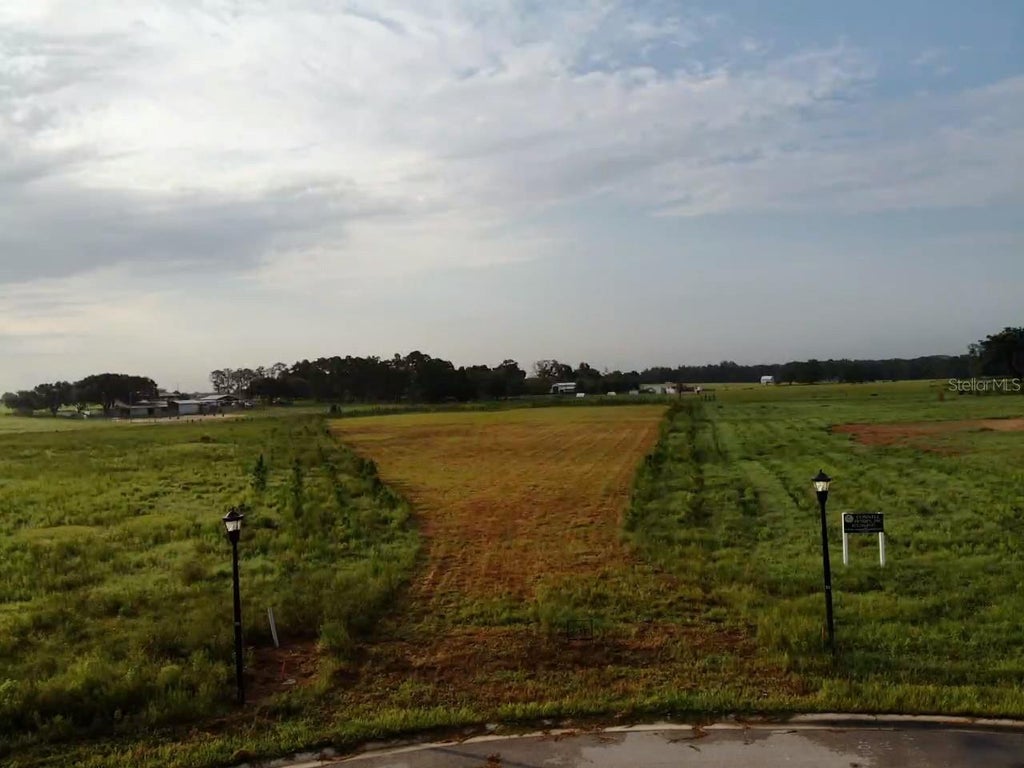 Photo of 10011 White Egret Drive, Thonotosassa, FL 33592 (MLS # O6434518)
