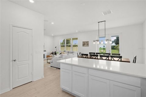 Tiny photo for 16329 Sanctuary Reserve Loop, Clermont, FL 34714 (MLS # G5099901)