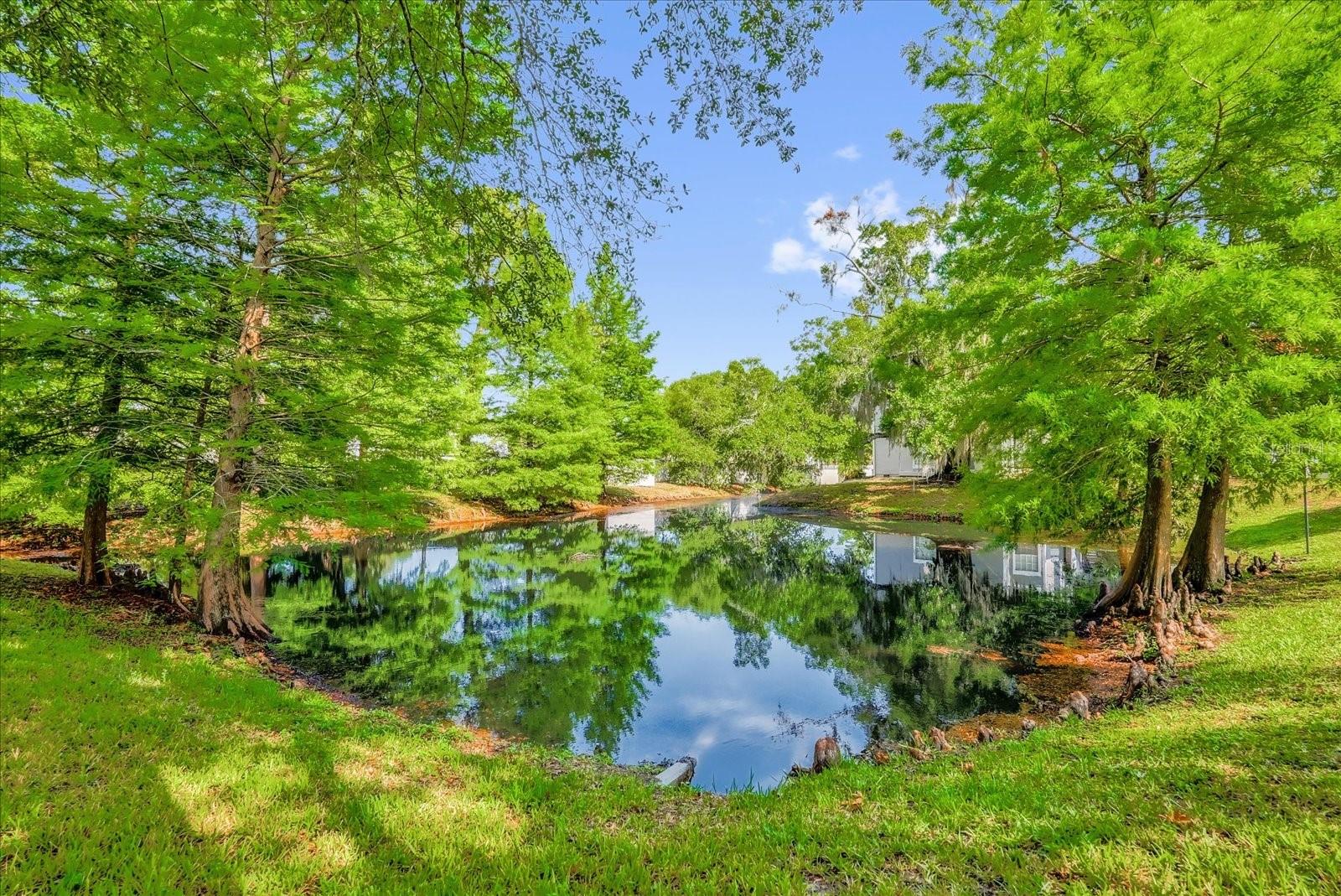 935 NORTHERN DANCER WAY 107