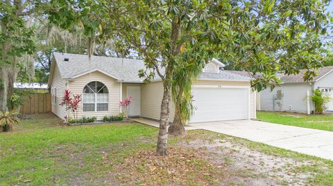 910 SHEELER OAKS DRIVE APOPKA FL 32703