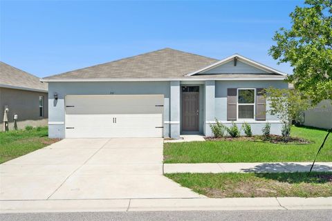 Photo of 391 Boardwalk Avenue, Haines City, FL 33844 (MLS # O6398667)