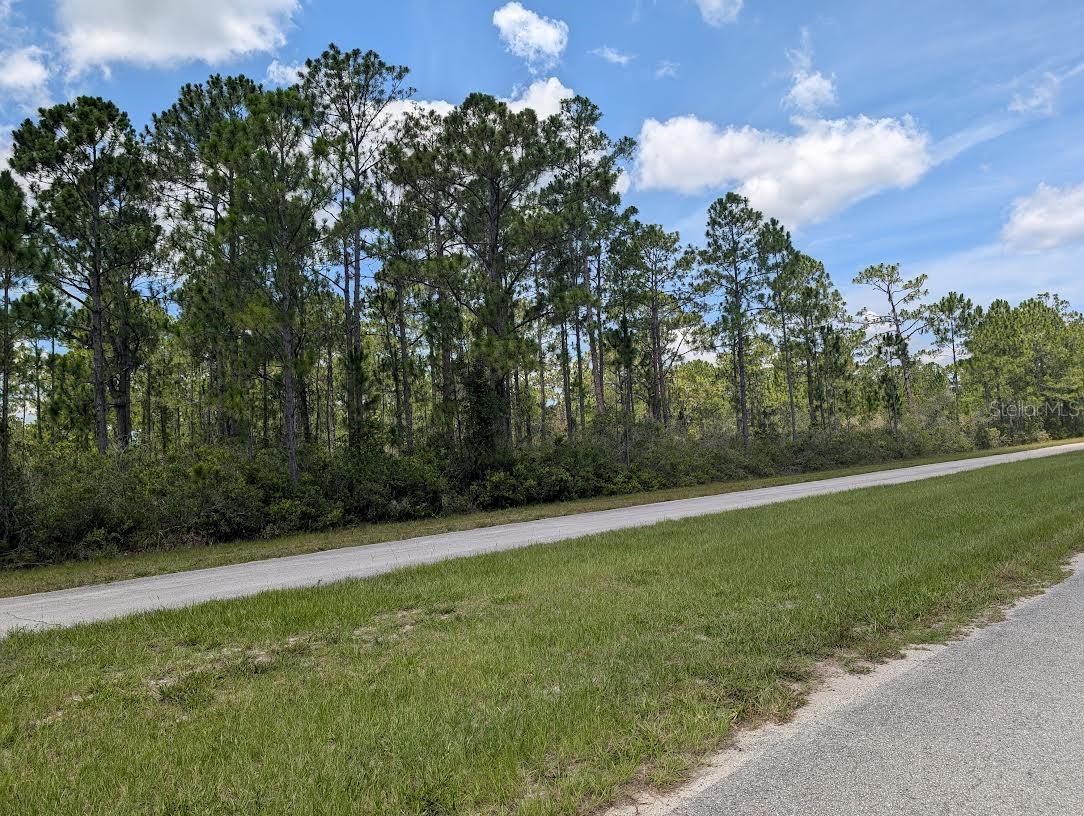 INDIAN LAKE ESTATES - Land