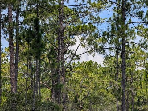 DELAND AVENUE INDIAN LAKE ESTATES FL 33855