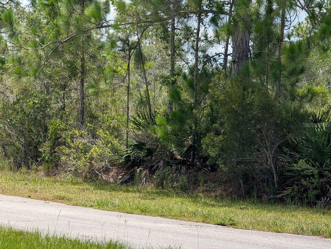 DELAND AVENUE