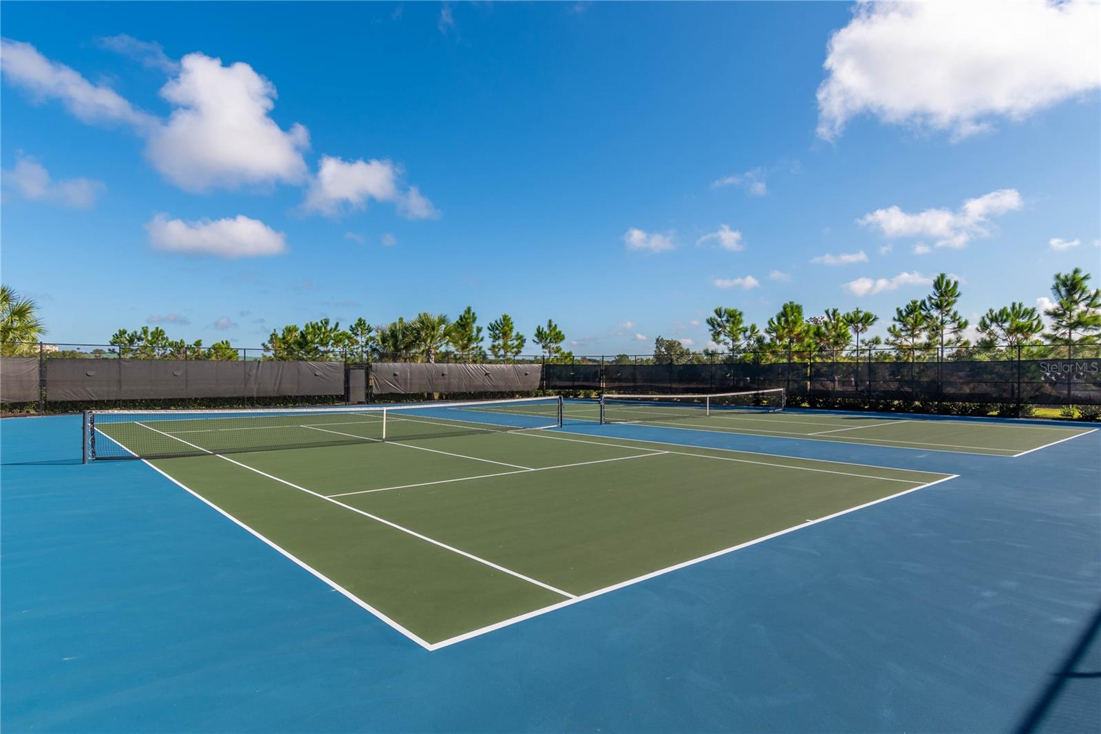 FOUR SEASONS AT ORLANDO PH 3C & 3D - Residential