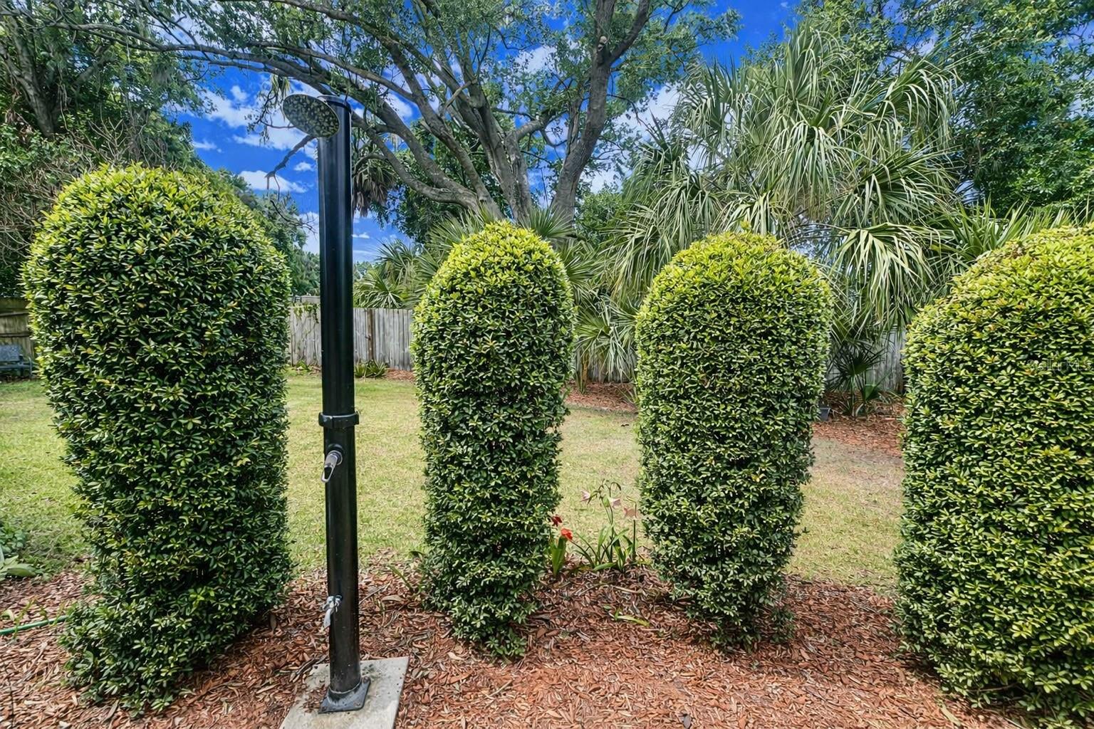 COLLEGE GROVE REP - Residential