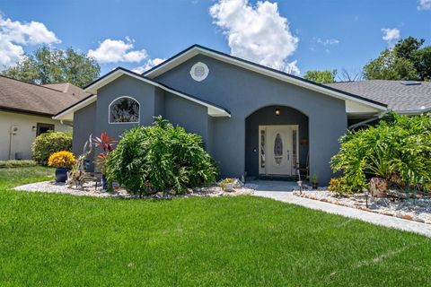 A home in PALM COAST