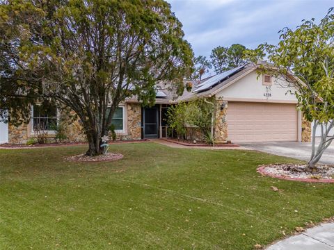 A home in VALRICO