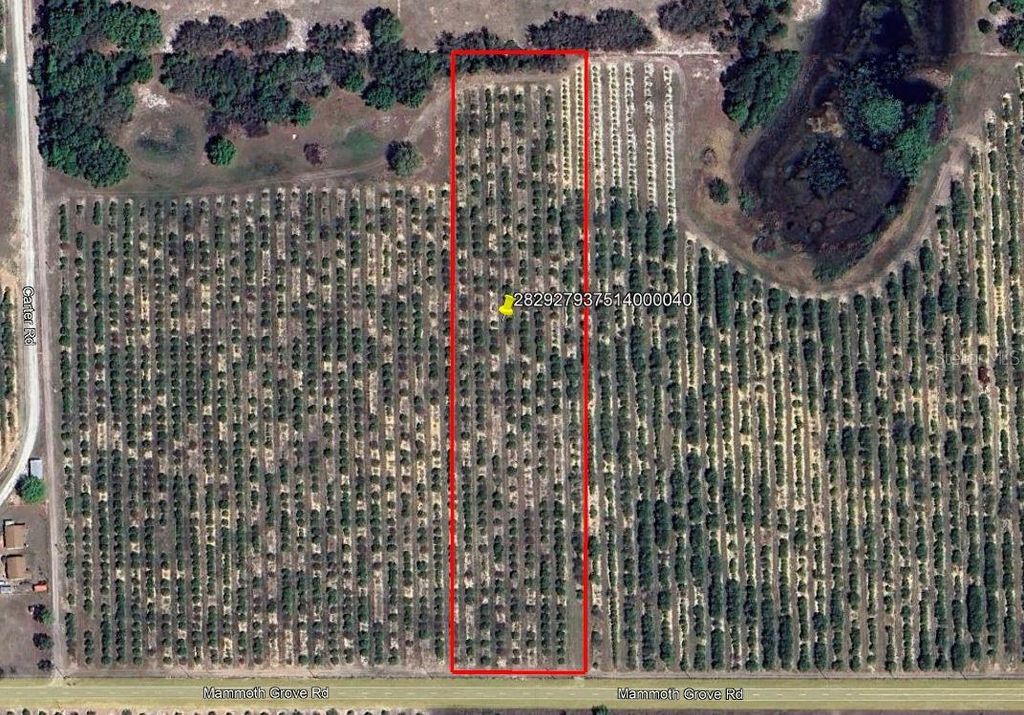 Photo of Mammoth Grove Road, Lake Wales, FL 33898 (MLS # P4935048)