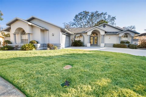 Photo of 9208 Water Hazard Drive, Hudson, FL 34667 (MLS # TB8476499)