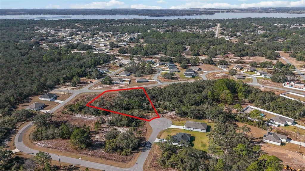 Photo of 320 Bowfin Lane, Kissimmee, FL 34759 (MLS # O6371742)