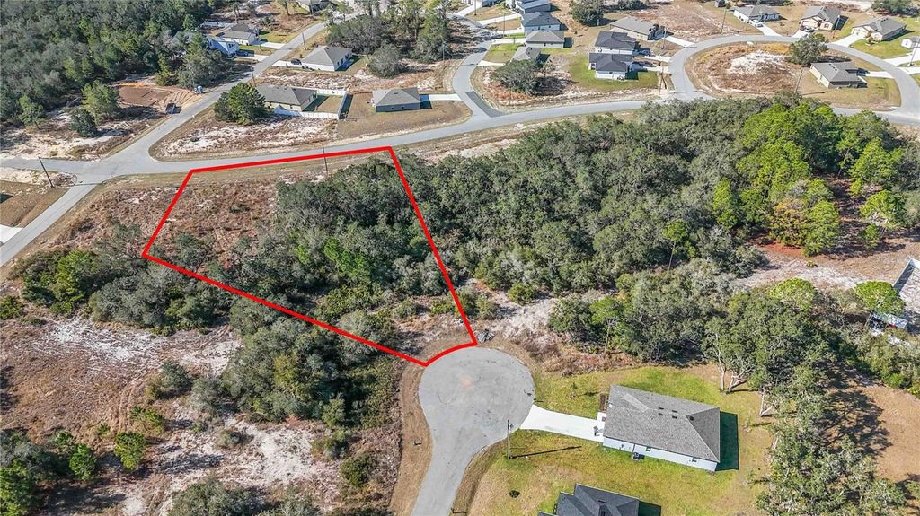 Photo of 320 Bowfin Lane, Kissimmee, FL 34759 (MLS # O6371742)