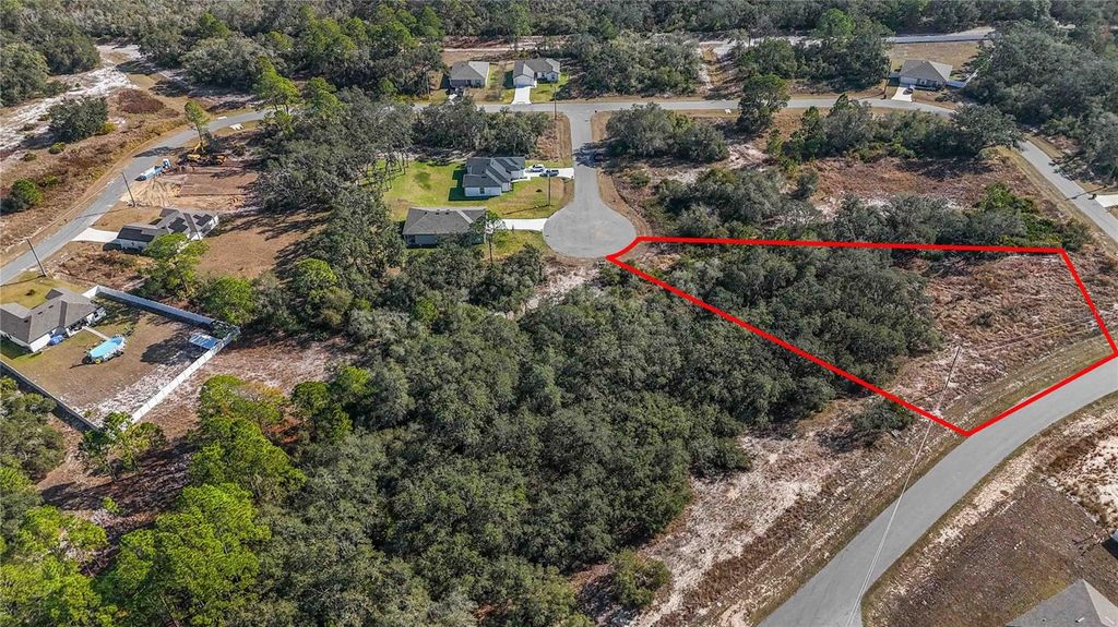 Photo of 320 Bowfin Lane, Kissimmee, FL 34759 (MLS # O6371742)