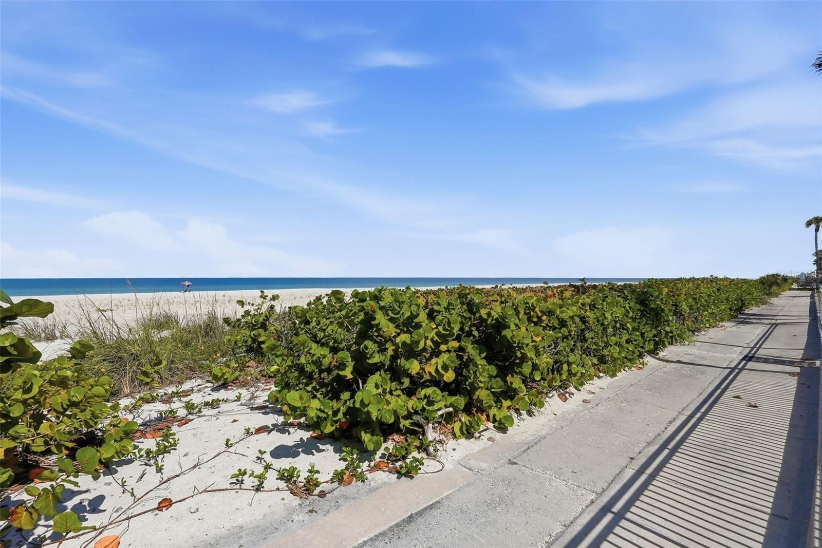 BELLEAIR KEY CONDO - Residential