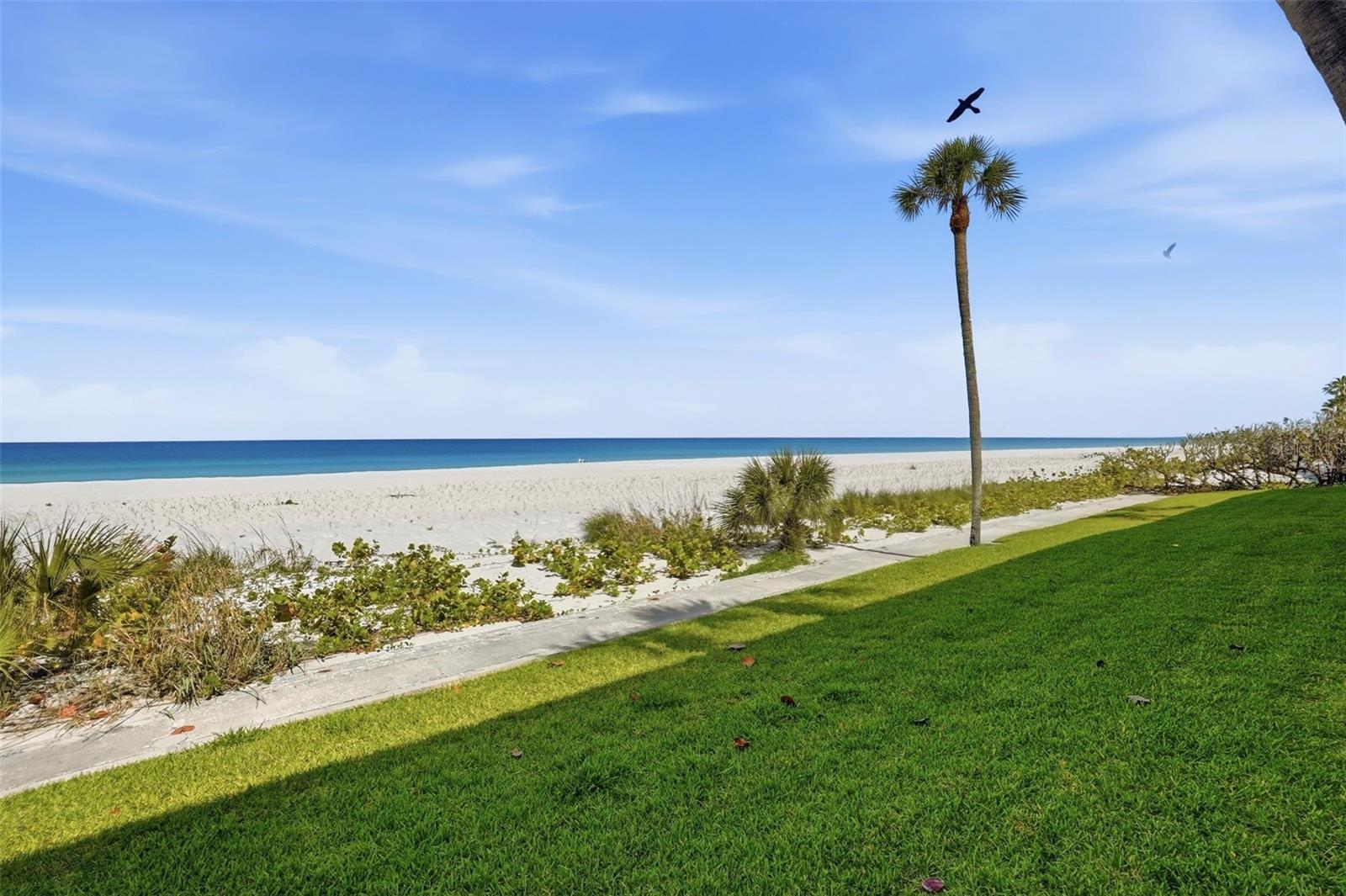 BELLEAIR KEY CONDO - Residential