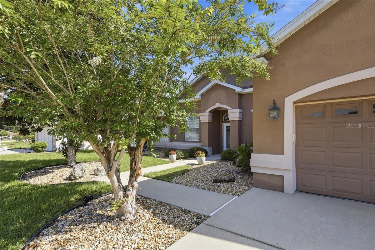 58 BUTTERFIELD DRIVE