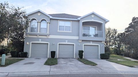 A home in RIVERVIEW