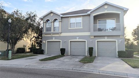 A home in RIVERVIEW