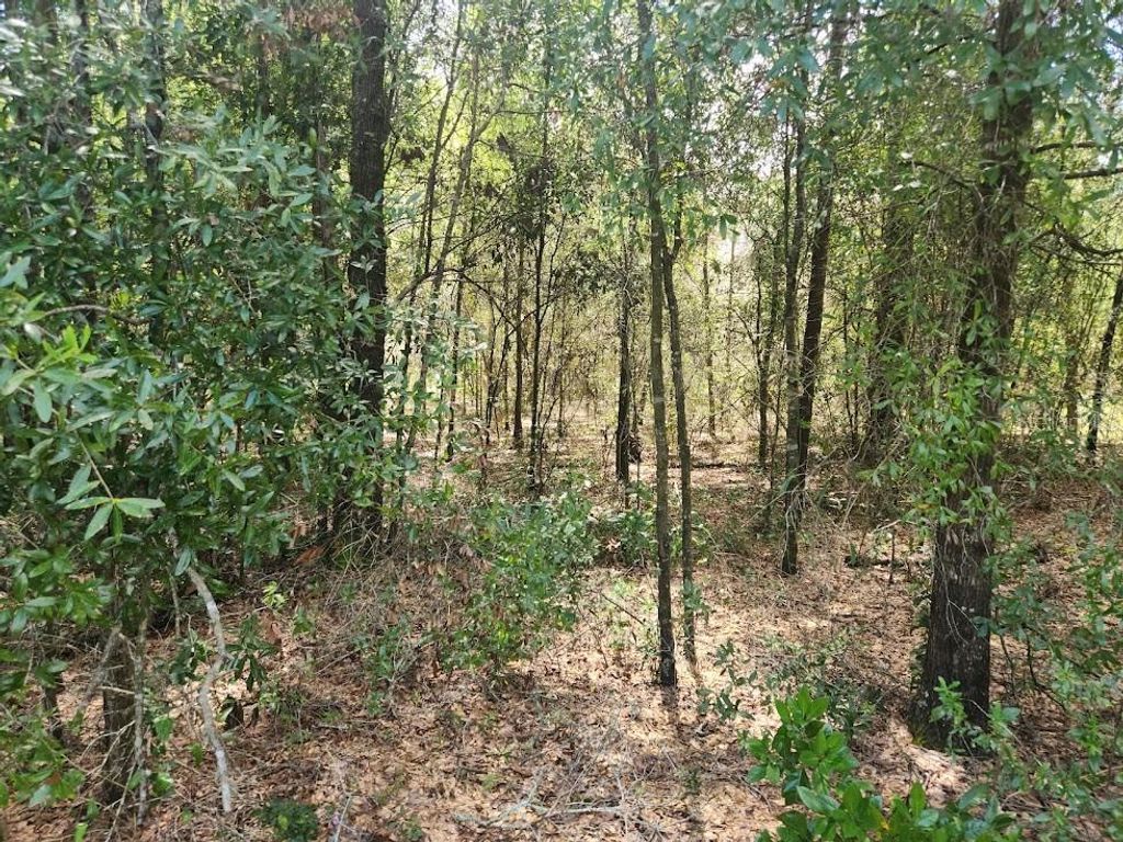 Photo of 12 SW 96th Lane, Dunnellon, FL 34432 (MLS # OM708221)