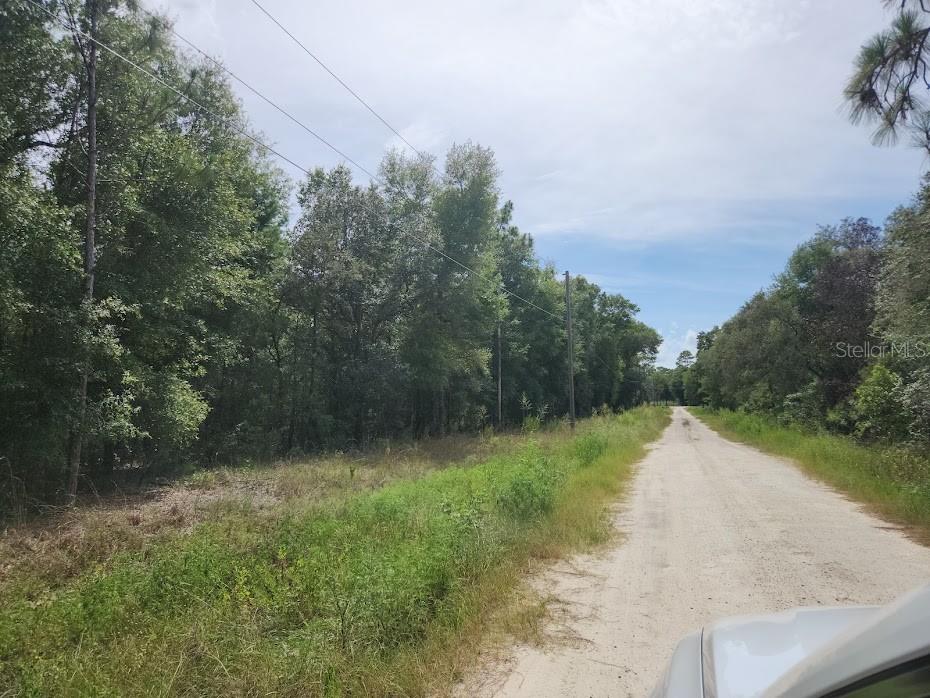 1.16 ACRES in fast growing Rolling Hills, four lots east of paved 129th Ter Rd. Level, lightly wooded. No HOA, No mobile homes. After you build your house you can store your RV's and toys. Owner financing with $ 13,400. down and 9.5 percent simple interest, mortgage of $ 53,600 and $ 876.36 per month, 7 year motorization, no penalty to pre pay. Close to shopping half way between Ocala and Dunnellon.
