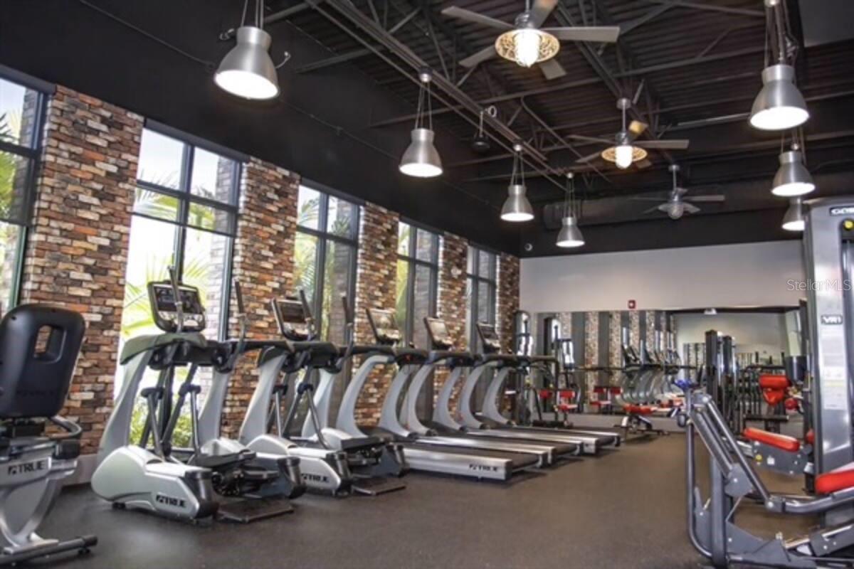 FESTIVAL PH 5 - Residential Lease