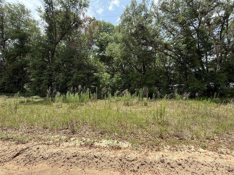 119 SMOKEY AVENUE INTERLACHEN FL 32148