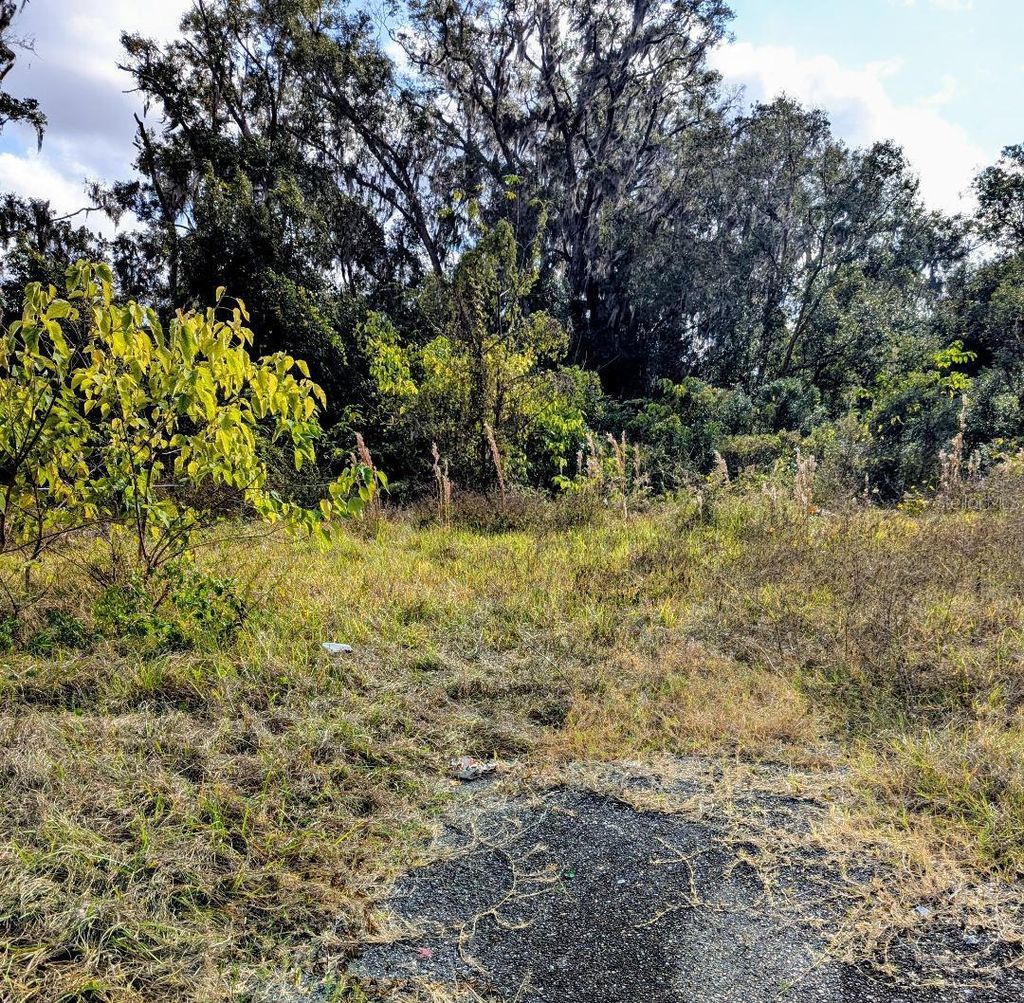 Photo of 808 SW 3rd Street, Ocala, FL 34471 (MLS # OM714463)