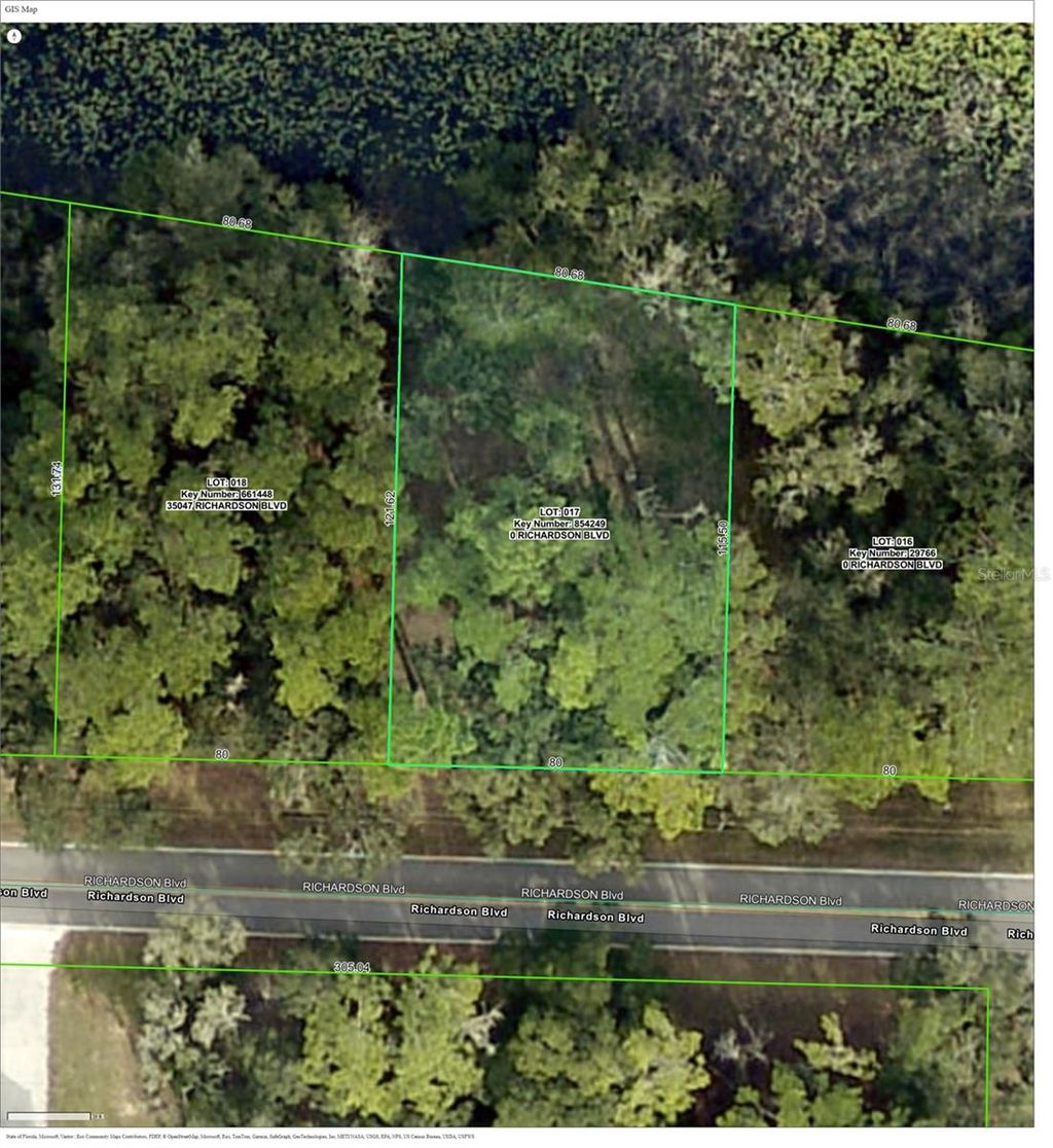 Photo of Richardson Boulevard, Webster, FL 33597 (MLS # TB8465065)